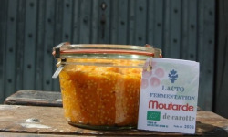 ChâteauFer - Lacto moutarde de carotte