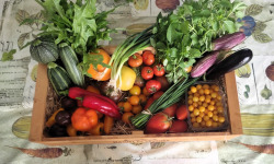 Nature et Saveurs - Ferme Aquaponique et Permacole Astérienne - Petit Panier de légumes astériens