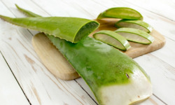 La Boite à Herbes - Feuille D'aloe Vera - Pack 10 Kg