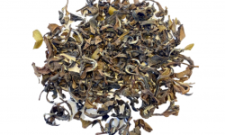 Nuage Sauvage - Thé Oolong Vietnam Beauty - 50g