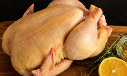 La ferme des Tuileries - [Précommande] Poulet entier - env 1,7kg