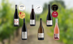Domaine de la Chopinière du Roy - Coffret découverte "Les 6 vins de Loire du Domaine" - 6 x 75 cl