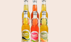 Mama Kombucha - LE PACKOMBUCHA 6 X 33cl