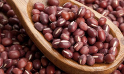 L'OLIVERAIE DU COUDON - Haricots azuki  500g