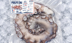 Mon Petit Poisson - Tentacules de poulpe crues – 500 g