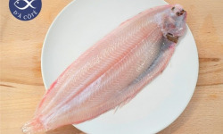La Criée d'à Côté - Sole | 330g à 350g la pièce