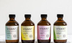 Vivant Kombucha - Coffret Découverte Kombucha Bio x12