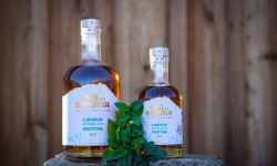 Ors na Bruma - Liqueur de Menthe 50cl