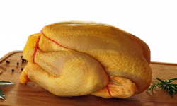 La ferme d'Enjacquet - Poulet Fermier Label Rouge Gers 2 Kg