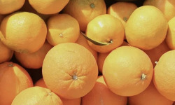 L'OLIVERAIE DU COUDON - PANIER MIX ( AVOCAT-PAMPLEMOUSSE-ORANGE-CLEMENTINE-CITRON-KIWI-CONFITURE -TARTINABLE)