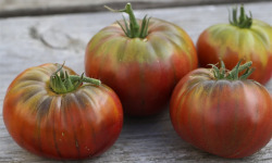 Les Champs Paradis - tomate noire de crimée véritable 1 kg