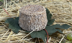 Fromagerie Maurice - Tommette affinée au lait cru