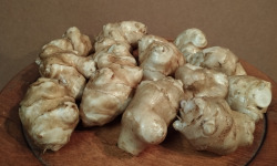 Ferme de Cernunnos - Topinambours - 500g