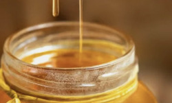 L'OLIVERAIE DU COUDON - MIEL DE FLEURS – POT 375 G