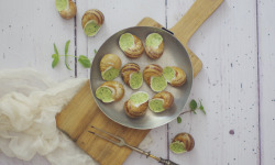 Limero l'Escargot Mayennais - Assiette De 12 Coquilles D'escargot Gros Gris Frais Aau beurre persille-Lot de 10