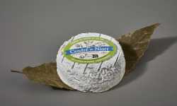 Laiterie de Pamplie - Cendré de Niort