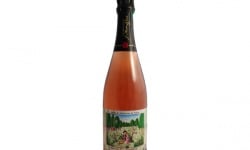 Champagne J. Martin et Fille - Cuvée des Amoureux de Peynet Rosé - 75cl