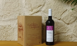 Domaine Les Conques Soulière - Fontaine à vin Rouge / BIB IGP Méditerranée 5L