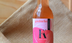 Dégustonfoin - 6 x Kombucha "Framboise" BIO 33cl