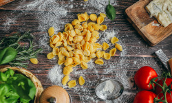 Saveurs Italiennes - Conchiglioni fraîches - 2 à 3 pers