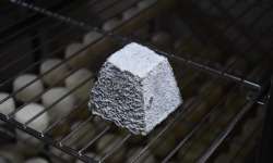 Alléosse Maitre Artisan Affineur Fromager - Valençay AOP au lait cru