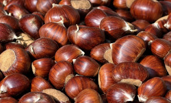Naturélium - Châtaigne d’Ardèche Bouche Rouge – Calibre G1/G2, de 1 kg à 10 kg