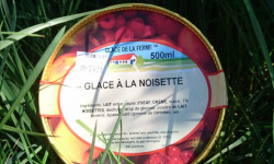 Les Glaces de la Promesse - Glace Noisette