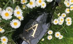 Champagne De Sloovere - Pienne - Champagne Cuvée Ange - Blanc de Blancs - Brut x6