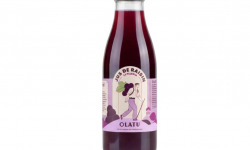 Olatu - Jus de Raisin BIO 75 cl