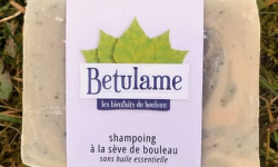 Betulame, les bienfaits du bouleau - Shampoing solide à la sève de bouleau (35%)