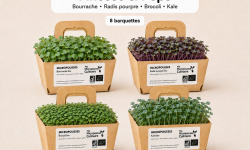 Ma Micropousse culinaire - Micro-pousses bio – Pack Finesse & Peps – Bourrache, radis, brocoli & kale – 8 barquettes
