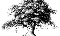 Ferme de Pourcier - Offre Ferme De Pourcier