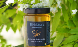 Les Ruchers de Normandie - Miel d'Acacia 500g