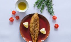 Etablissements JC David - Filets de Maquereau provençale fumés barquette 8/10 pcs 1kg