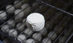 Alléosse Maitre Artisan Affineur Fromager - Cabri Blanc au lait cru