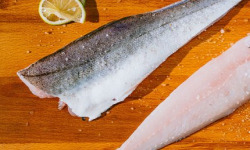 Poissonnerie La Piriacaise - Filet de Merlu