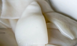 Poissonnerie La Piriacaise - Encornets préparés x3