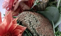 Rébecca les Jolies Fleurs - Retour du marché