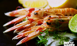 Brest Marée - Langoustines cuites - 500g