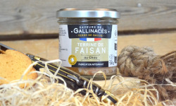 Terre de Gallie - Terrine de faisan au chou
