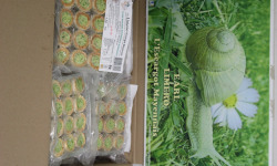 Limero l'Escargot Mayennais - Assiette De 12 Mini Bouchées D'escargots Gros Gris Frais Garnies Au Beurre persillé