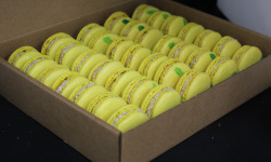 Les Macarondises - 35 Macarons Banane Rôtie Grué De Cacao