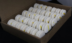 Les Macarondises - 35 Macarons Camembert