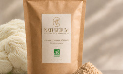 Naturélium - Poudre d’Hydne Hérisson (Lion’s Mane)