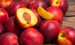 Les Jardins de Gérard - Nectarine jaune Bio - 1 kg