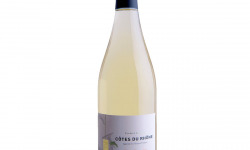 Domaine Reverchon - Vins blancs Fleurs d’amandier 2024 Côtes du Rhône Blanc AOP