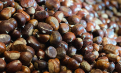 Lou Codou, microferme du Caillou - [Précommande] Châtaignes fraîches - 1kg