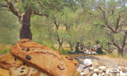 La BRIQUETTERIE - Pain Olive Kalamata - Grande Brique