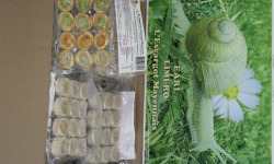 Limero l'Escargot Mayennais - Assiette De 12 Mini Bouchées D'escargots Gros Gris FRAIS Garnies Aux 3 Beurres -