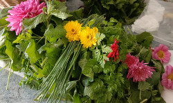 Rébecca les Jolies Fleurs - Salade royale